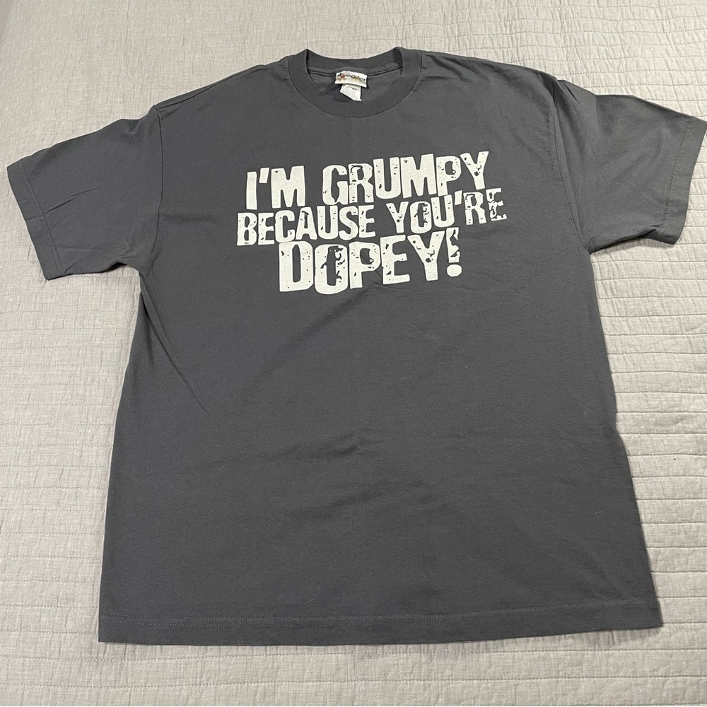 Walt Disney World Grumpy Graphic Gray Short Sleeve Tee Size XL